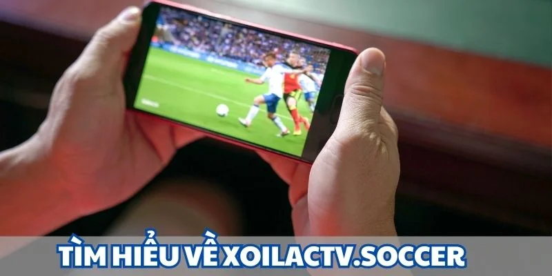 Tìm hiểu về xoilactv.soccer